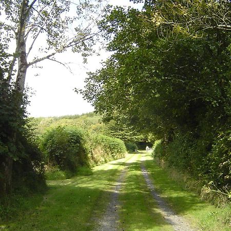 Holdstrong Farmhouse Lydford Exterior foto