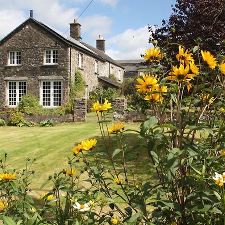 Holdstrong Farmhouse Lydford Exterior foto