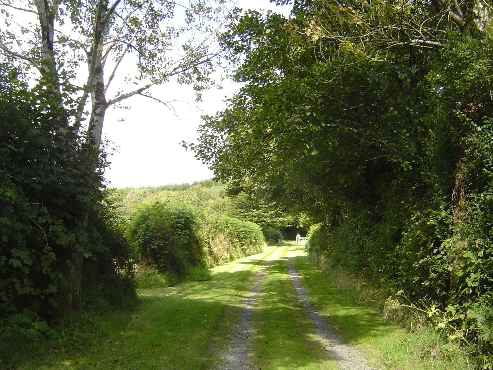 Holdstrong Farmhouse Lydford Exterior foto